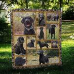 curly coated retriever cute quilt blanket dhc09122005dd d2446345