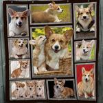 cute corgi awesome ah quilt derqmw d2485637