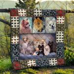 cute pomeranian pets dog quilt blanket great customized blanket gifts for birthday christmas 0