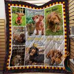 dachshund 05 blanket th10072019 quilt d2456730