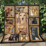 dachshund love you better quilt blanket dhc31121779td d2447012