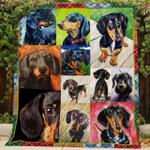 dachshund o quilt pu d2488170