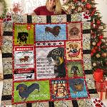 dachshunds art collection dachshund doxie wiener dog lovers cl291220214mi quilt blanket d2412372
