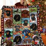 dachshunds life dachshund doxie wiener dog lovers cl291220235mi quilt blanket d2412184