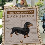 dachshunds the anatomy of dachshund dachshund doxie wiener dog lovers cl291220100mi quilt blanket 0