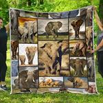 elephant come back home quilt blanket dhc3112316td d2446885