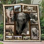 elephant ver19 blanket th1507 quilt d2451914