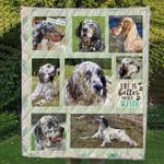 english setter rock and roll all nite quilt blanket dhc31121615td d2447073