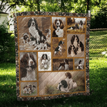 english springer spaniel a star is born quilt blanket dhc31121100td d2447059