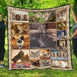 finnish lapphund ex we ex u quilt er d2488175