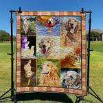 golden retriever dog td2709410 quilt blanket d2445651