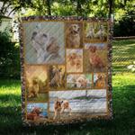 golden retriever lovely hur quilt bevrcp d2486334