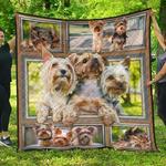 golden retriever rry rry rry u quilt sm d2489047