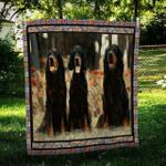 gordon setter hur quilt bevrfi d2487075