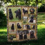 gordon setter together hur quilt bevrjs d2486278