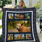 heeler quilt blanket d2453088