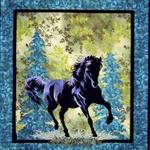 horse hur quilt vm d2487933