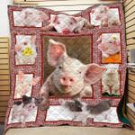 huge pig lover quilt d2484773