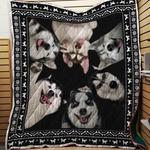 husky 03 blanket th10072019 quilt d2451991