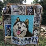 husky 7 quilt d2423564