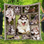 husky puppy quilt quilt d2420715