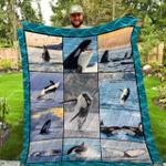 killer whale quilt q0903 d2422270