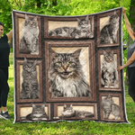 maine coon cat o quilt sy d2488518