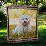 maltese cute quilt blanket dhc09122029dd d2446366