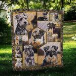 miniature schnauzer portrait hur quilt bevrwz d2486289