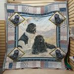 newfoundland 2702096 quilt blanket quilt d2415985