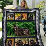 newfoundland 5 quilt d2423827