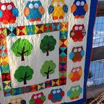 owl cla010765 quilt blanket d2447975
