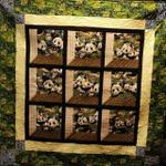 pandas window quilt tdhjc d2486971