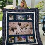 papillon quilt tdhao d2486270