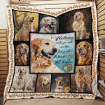 perfect golden dogs blanket kc1307 quilt d2413604