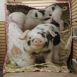 pig quilt tdhch d2486260