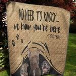 pit bull vd quilt tdhqz d2487264