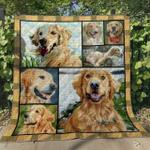 pitbull color my love u quilt lb d2489113