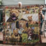 pitbull keep going forward quilt blanket dhc31121330td d2447219