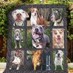 pitbull lets smile quilt blanket dhc31121396td d2447090