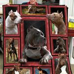 pitbull quilt tdhxk d2485702