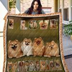 pomeranian quilt tdhwz d2486890