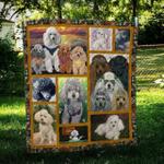 poodle cute cl10100203mdq quilt blanket d2483032
