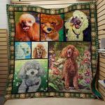 poodle poodle race quilt blanket dhc04012042dd d2482274
