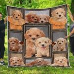 poodle quilt quilt d2420138