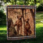 portuguese pointer friend quilt blanket dhc09122048dd d2446279