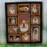 pug cold water u quilt do d2488667