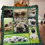 pug dog quilt blanket c9b300505na d2447278