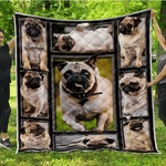 pug my pug quilt blanket dhc31121390td d2447101