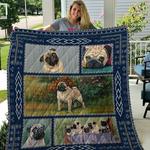 pug quilt tdhei d2486914